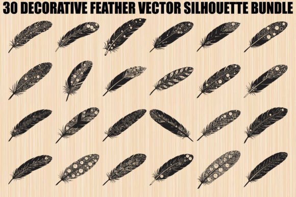 Decorative Feather Bundle: Graphics and Illustrations for Creative Projects