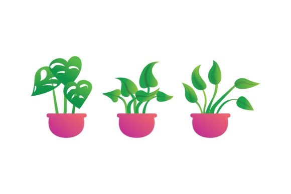 Flower Fast Decorative: Graphics for Branding Success