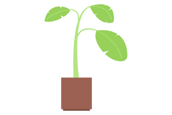 Houseplant Color Icon: Graphics for Editorial & Web Design