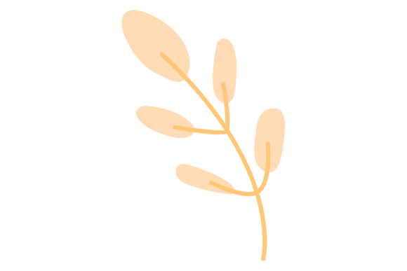 Natural Branch Decorative Element. Botan